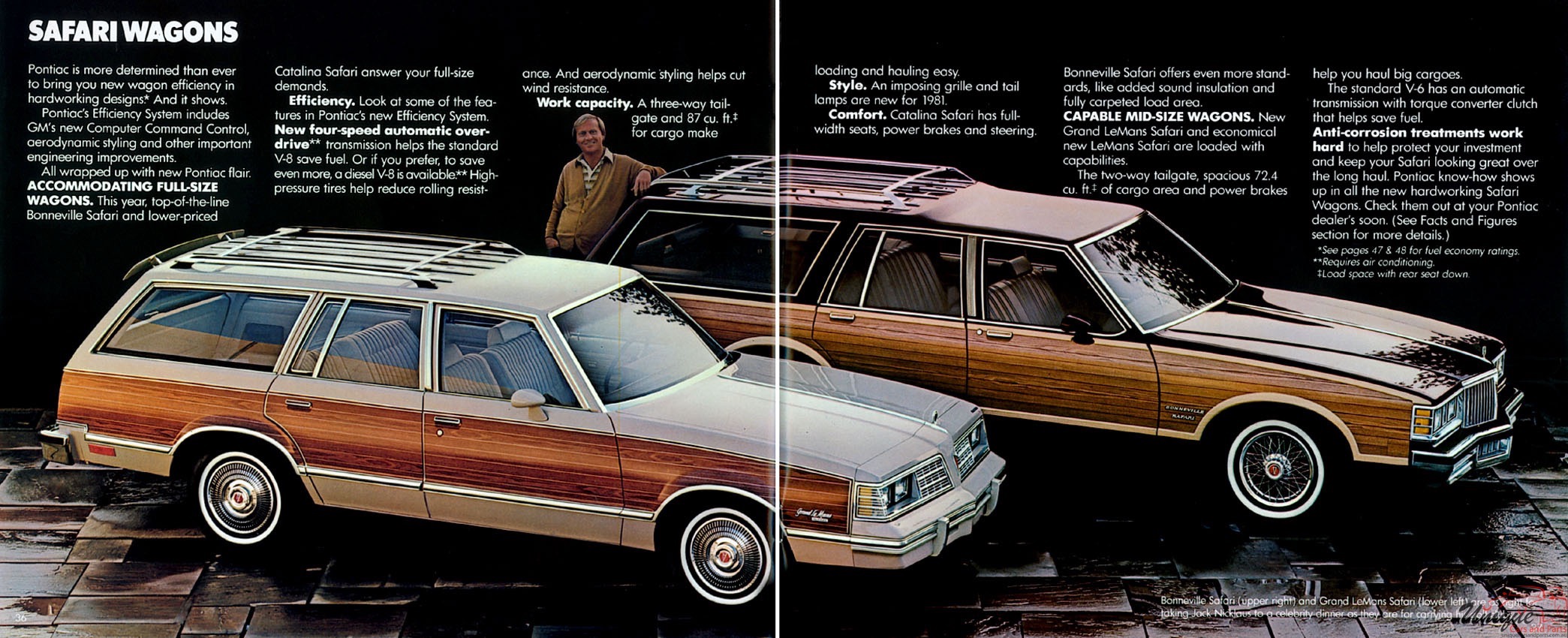 1981 Pontiac Brochure Page 12